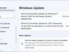 微软Win11 24H2 更新命名为“2024 更新”，预计秋季更新发布！